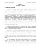 apuntes de la materia de Amparo