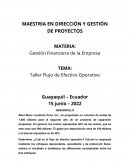 Gestión Financiera de la Empresa .Taller Flujo de Efectivo Operativo