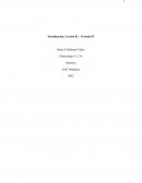 ¿Cuál es el uso que se le da al DDT?