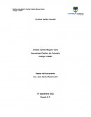 Análisis Habitar Santafé