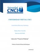 Inducción “Proyecto Modular”