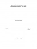 Ensayo Psicología Evolutiva