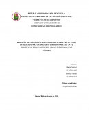 REDISEÑO DEL IMAGOTIPO DE INVERSIONES SUPERLUB C.A.