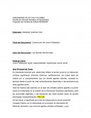 Construcción del Juicio Profesional