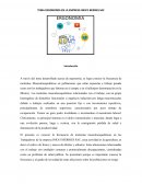 ERGONOMÍA EN LA EMPRESA INKA’S BERRIES SAC