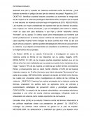 Protección jurídica de las mujeres en situación de violencia doméstica