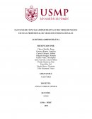 PLANEAMIENTO DE AUDITORÍA ADMINISTRATIVA EMPRESA: TK BUSINESS ONLINE S.A.C