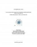 GUÍA PRÁCTICA GEOLOGÍA DE CAMPO