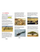 SABANA