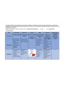 Matriz de Anabolismo-Catabolismo