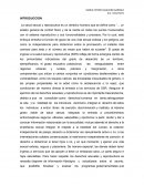 ENSAYO SOBRE SALUD SEXUAL