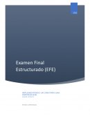 Generando una CMR para una Empresa B2B