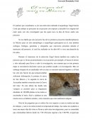 El origen del maiz en México