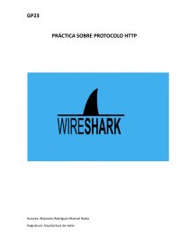 PRÁCTICA SOBRE PROTOCOLO HTTP. Página 1