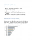 SEGMENTACION PSICOGRAFICA