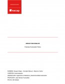 Evanszada (areas funcionales)