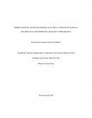 DISMINUCION DE COSTOS DE ENERGIA ELECTRICA A TRAVÉS DE PANELES SOLARES