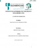 CREACION DE UNA CAMPAÑA PUBLITARIA