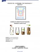 INVERSION Y FINANCIAMIENTO PICANTERIA DELJOTAM