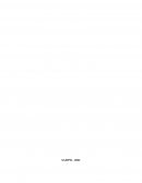 Creacion de un Equipo Auditor