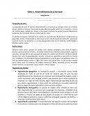 Trabajo taller 1 Emprendimiento de la hermana