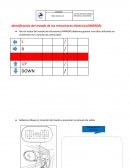 CIRCUITO DE RETROVISORES