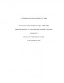 LA IMPORTANCIA DE LOS SIG EN LA VIDA