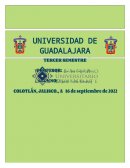 CICLOS BIOGEOQUÍMICOS