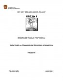 MEMORIA DE TRABAJO PROFESIONAL PARA TENER LA TITULACIÓN EN TÉCNICO EN INFORMÁTICA