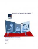 Presupuesto empresas NOP SPA