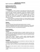 SECUENCIA DE LITERATURA Seguir un personaje: “CAPERUCITA ROJA”