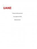 ¿Qué estudia la microeconomía?