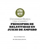 PRINCIPIOS DE PARTE AGRAVIADA