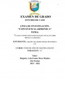 CAUSAS Y CONSECUENCIAS SOCIALES QUE VIVE EL ECUADOR FRENTE A LA DIGLOSIA