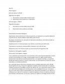 Proceso de cicatrizacion fisiologico, barreras en el proceso de la cicatrizacion y su impacto