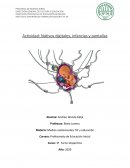 Medios audiovisuales TIC y educación