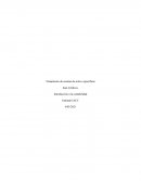 Tratamiento de cuentas de activo específicas