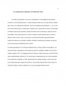 LA CONTAMINACIÓN AMBIENTAL, UN PROBLEMA DE TODOS