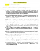 Actividad Pastos y forrajes
