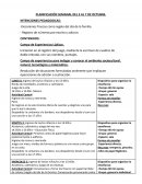 PLANIFICACIÓN SEMANAL