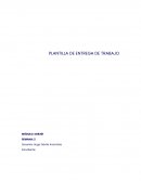 Trabajo sustentabilidad semana 2-5 Green Glass