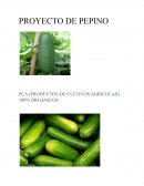PROYECTO: CULTIVO Y PRODUCCION DE PEPINO