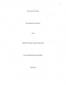 Proyección al mercado