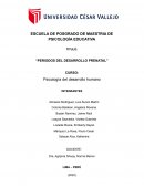 Periodos del desarrollo prenatal