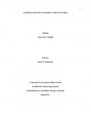 Ensayo Legislación Laboral de la Seguridad y Salud en el Trabajo