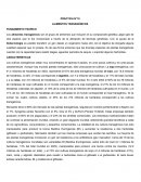 PRÁCTICA N°18 ALIMENTOS TRANSGÉNICOS