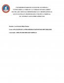 APLICACIÓN DE LA PENA MEDIDAS SUSTANTIVAS IMPUTABILIDAD