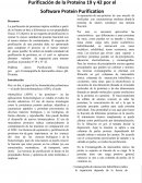 INFORME DE PURIFICACION DE PROTEINAS 19 Y 42