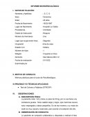 INFORME NEUROPSICOLÓGICO