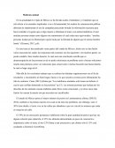 Maltrato animal en México